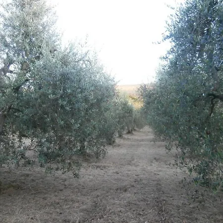Farm stay La Fonte