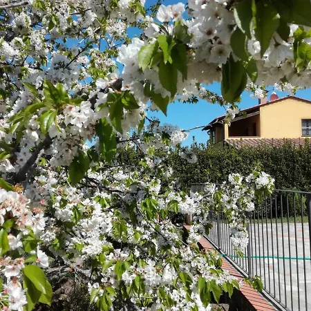 Farm stay La Fonte Volterra