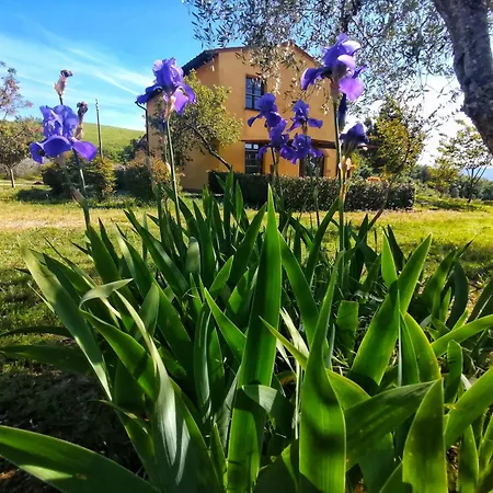 La Fonte * Volterra